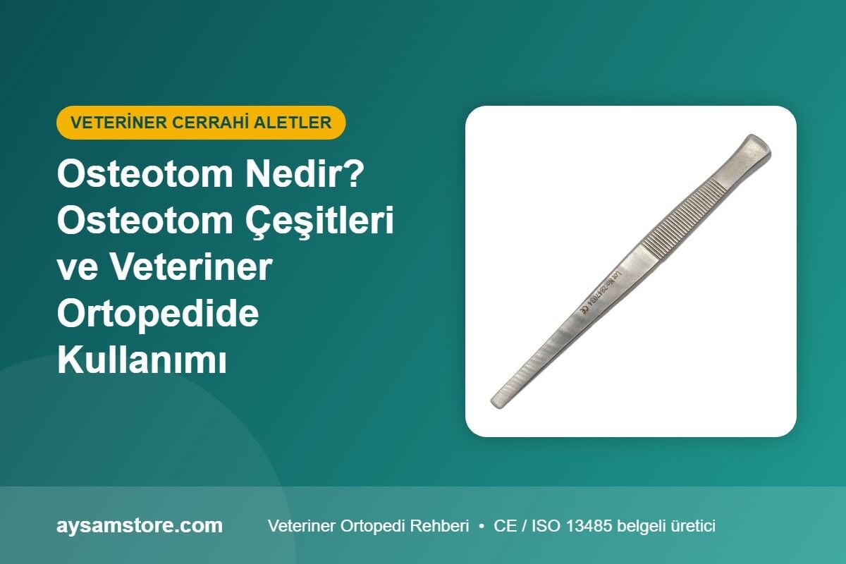 Osteotom Nedir? Osteotom Çeşitleri ve Veteriner Ortopedide Kullanımı
