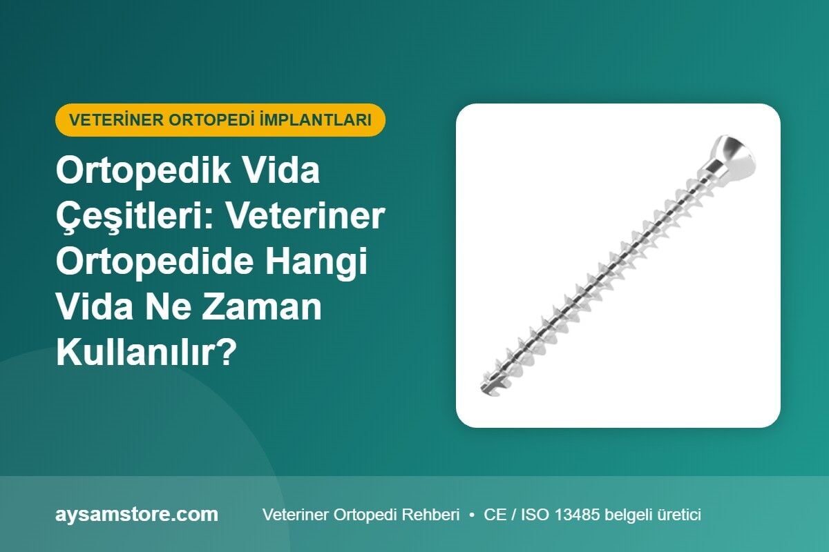 Ortopedik Vida Çeşitleri: Veteriner Ortopedide Hangi Vida Ne Zaman Kullanılır?