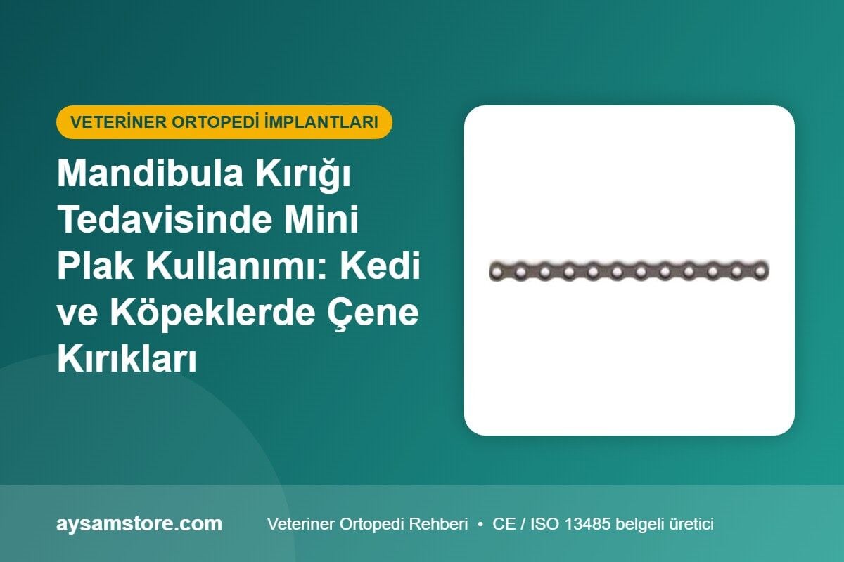 Mandibula Kırığı Tedavisinde Mini Plak Kullanımı: Kedi ve Köpeklerde Çene Kırıkları