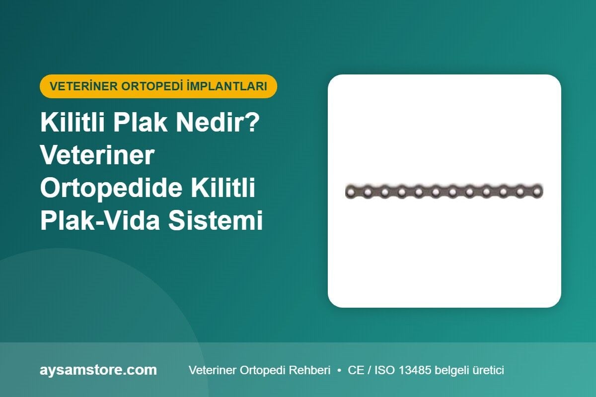 Kilitli Plak Nedir? Veteriner Ortopedide Kilitli Plak-Vida Sistemi