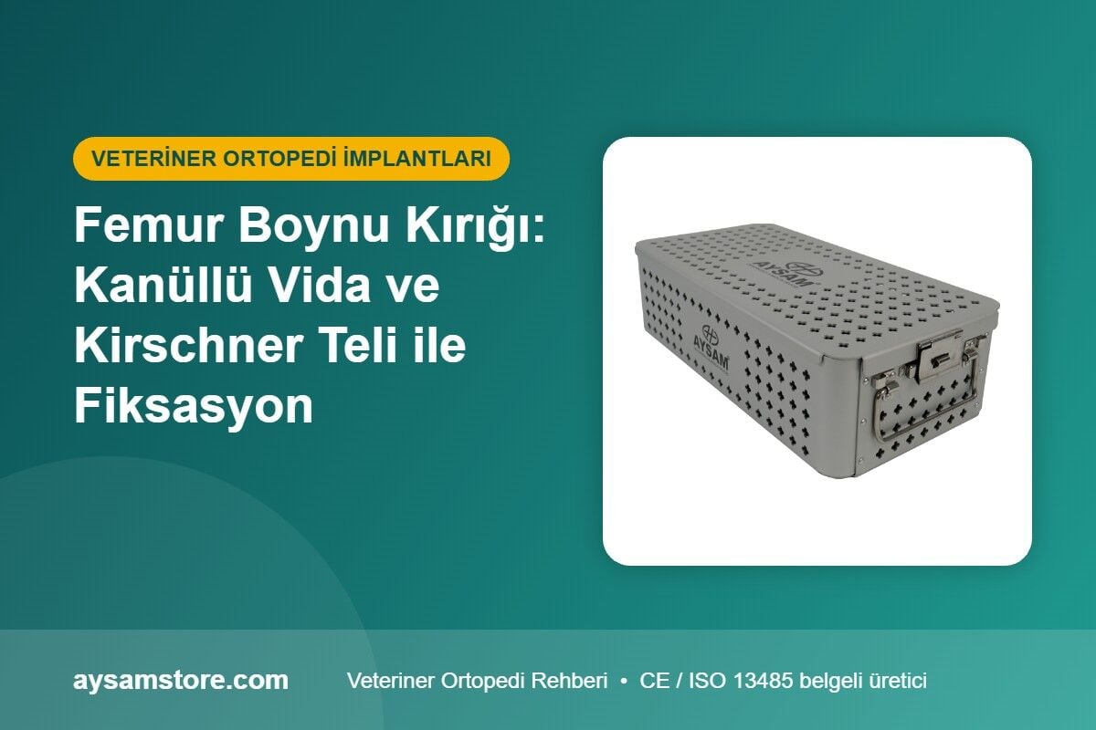 Femur Boynu Kırığı: Kanüllü Vida ve Kirschner Teli ile Fiksasyon