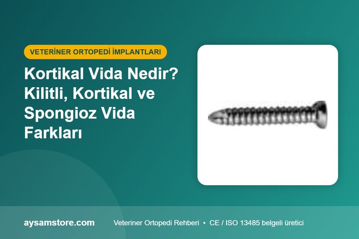 Kortikal Vida Nedir? Kilitli, Kortikal ve Spongioz Vida Farkları